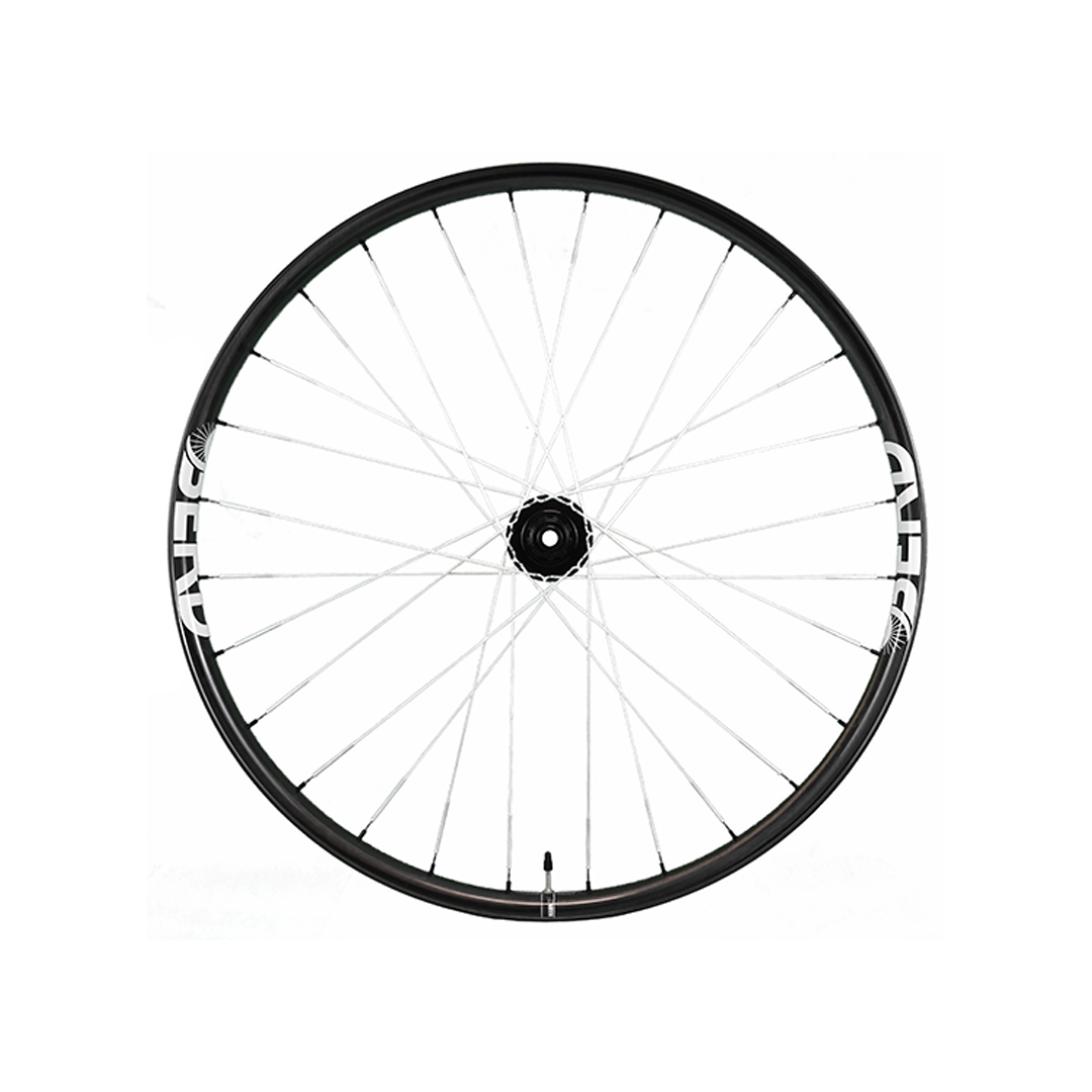 Berd Hawk30 Carbon White Spokes - Talon Hubs 29 15x110mm 12x148mm, XD, Centerlock Amazon For Sale