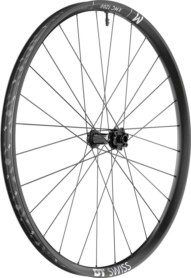 DT Swiss XMC 1200 Spline Front Wheel - 29, 15 x 110mm, 6-Bolt, Black Sale Low Pice