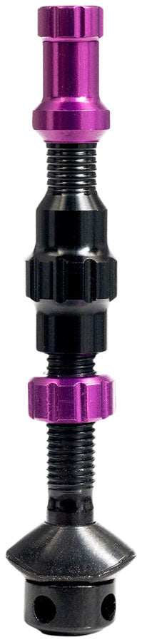 Stan's Tubeless Valve Stem Cap Color Kit - Purple, Pair