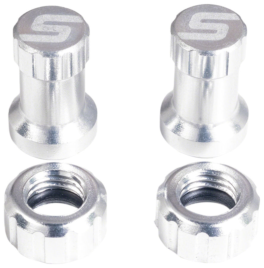 Stan's Tubeless Valve Stem Cap Color Kit - Silver, Pair