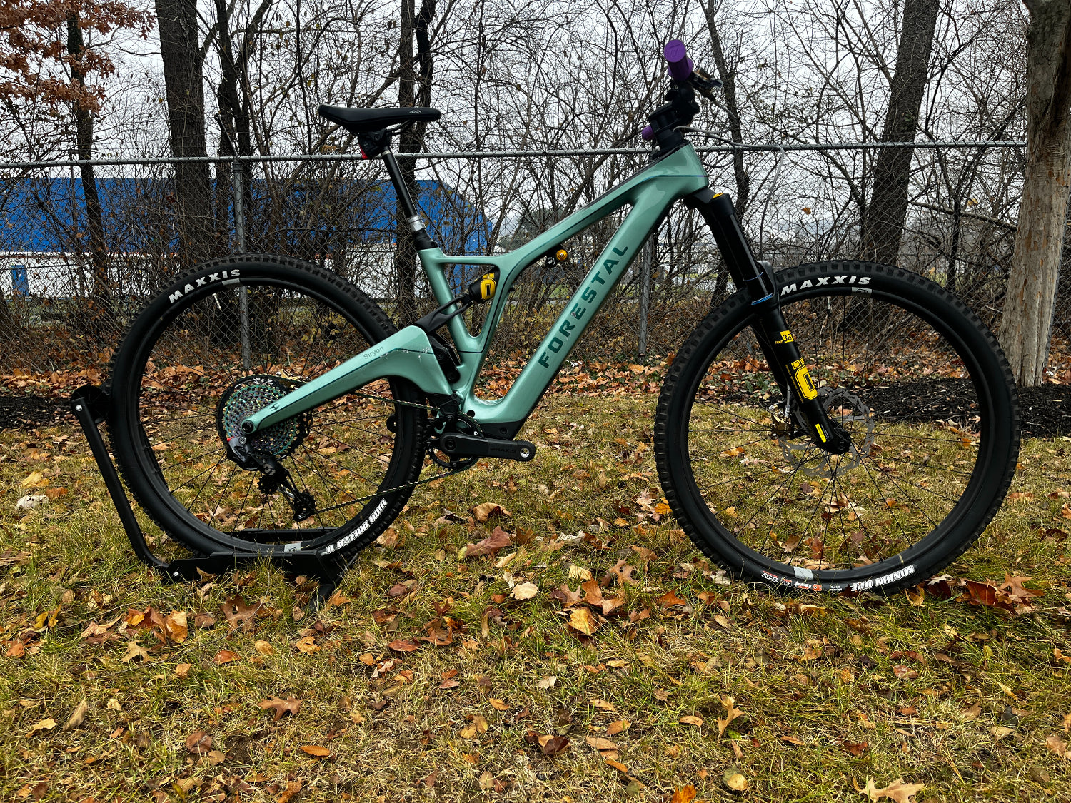 Forestal Siryon Complete Bike w/ Diode Build, Medium, Celadon Metallic Lightly Used Outlet 2025 Unisex