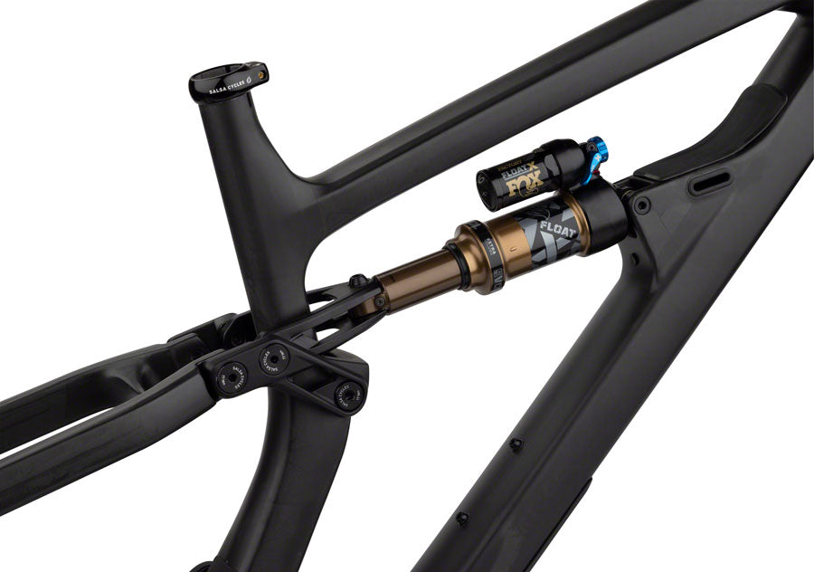 Salsa Blackthorn Carbon Frame - Carbon, Raw Buy Authentic Online