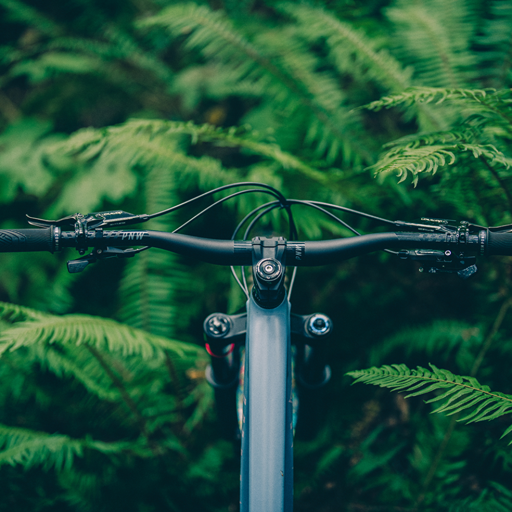 PNW The Loam Carbon Handlebar, 800mm width, 35mm bore, Black Outlet Locations