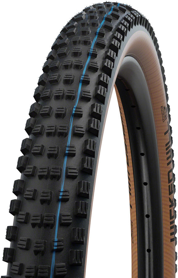 Schwalbe Wicked Will Tire - 29 x 2.25, Tubeless, Folding, Black/Transparent, Evolution Line, Super Race, Addix SpeedGrip Authentic